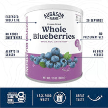 Freeze-dried whole blueberries can front view with serving and allergen icons