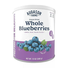 Freeze-dried whole blueberries can with blue berries and purple base, 12 oz