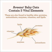Oat-based infographic with labeled proteins, lipids, vitamins, enzymes, antioxidants