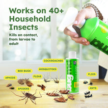 BugMD Essential Pest Control concentrate bottle with white cap, held for spraying