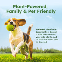 BugMD Essential Pest Control concentrate bottle, green with white cap beside dog