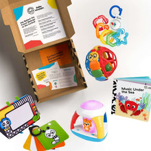 Developmental toy gift set with colorful play ball, learning cards, and booklets
