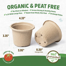 Seed pot size and drainage diagram with two beige biodegradable pots