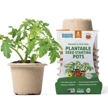 8-pack organic plantable seed starting pots box with a filled seed pot