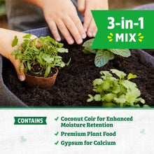 Hands planting seeds in small pots filled with seed starting mix