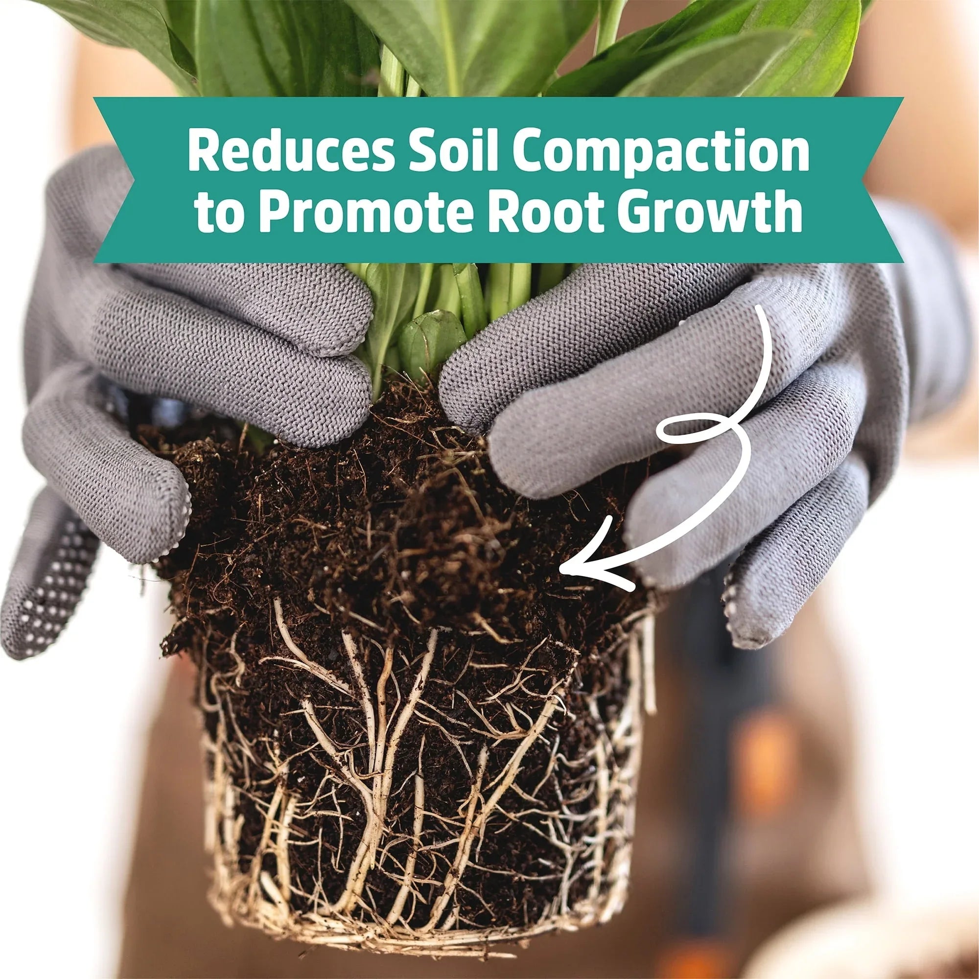 Back to the Roots Organic Perlite for Garden Soil, 8 qt