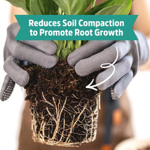Gloved hands holding a small plant with soil and roots, shown with perlite benefit