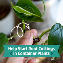 Hand inserting a root cutting into potting mix for container plants, close-up