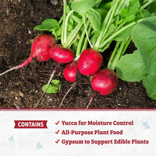 Raised garden bed soil with radishes and green leaves at the soil surface