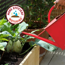 Gardener watering leafy plants from a red watering can in a raised bed planter