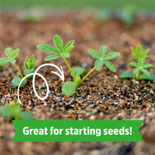 Small seedlings growing in textured soil with hand icon for starting seeds