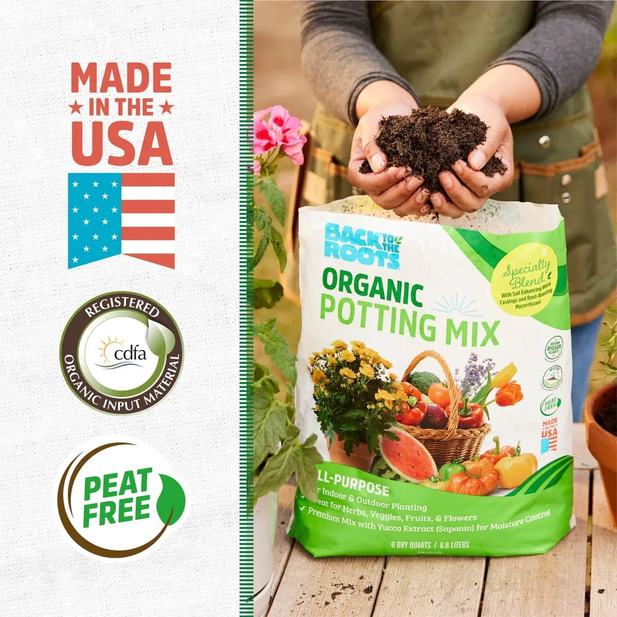 Back to the Roots Potting Mix, 6 Qt