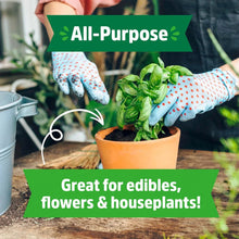 All-purpose potting mix, hands planting greens in a potted plant