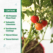 Potting mix ingredient callouts panel beside a tomato plant