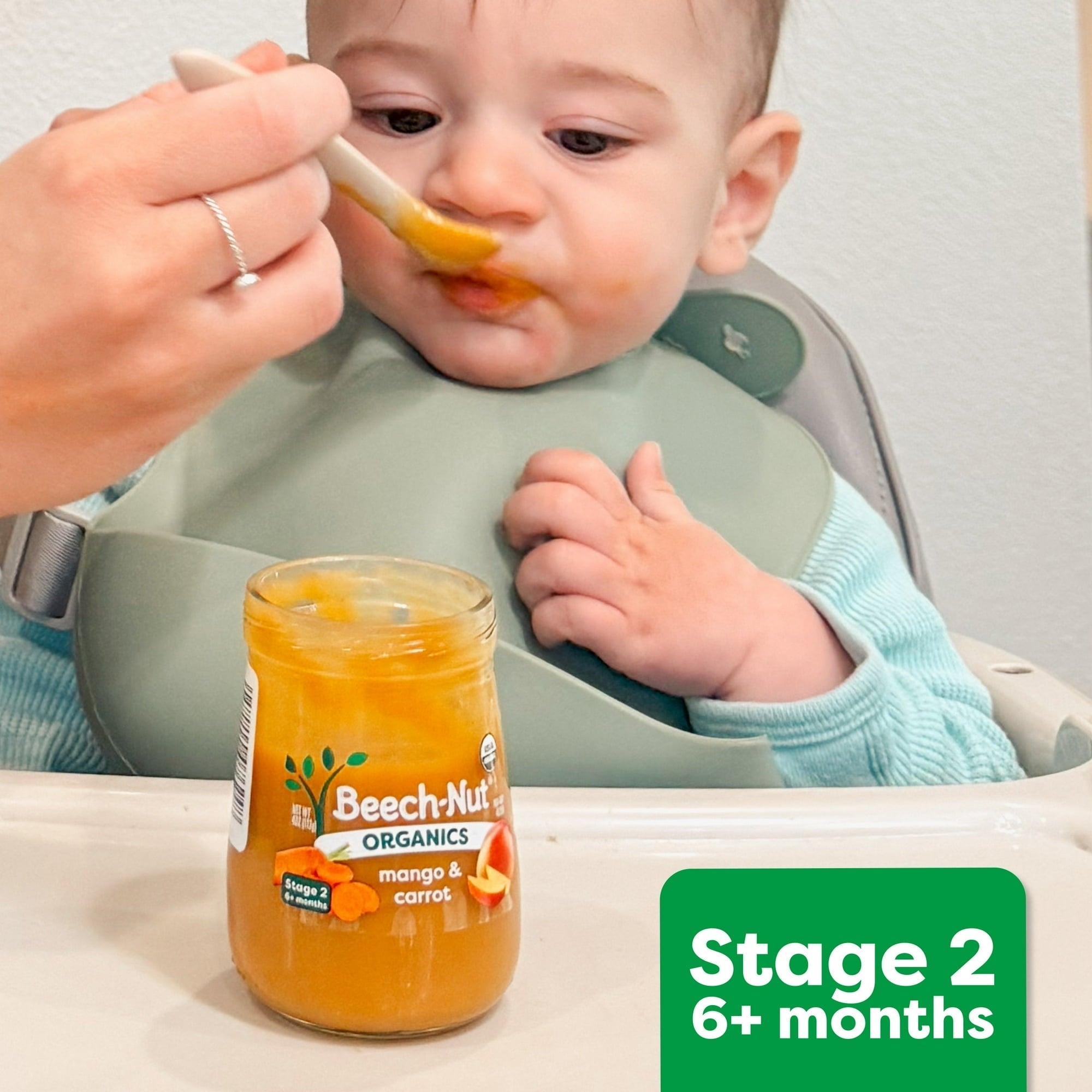 Beech-Nut Fruities Stage 2 Baby Food Variety Pack, 3.5 oz Pouch (9 Pack)