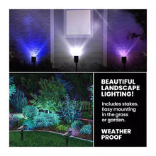 Solar LED landscape spotlights on stakes for yard and garden lighting, includes stakes