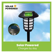 Solar pathway stake light with solar panel top and black lantern housing, daytime charging.