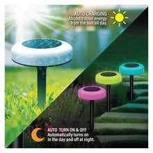 Solar pathway LED lights with white top discs and black stakes, multicolor set