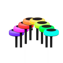 Solar pathway LED lights, multicolor round heads on black stakes, 8-pack