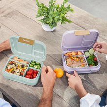 Two open lunch boxes in mint and lavender, filled with salad, grains, and sliced produce
