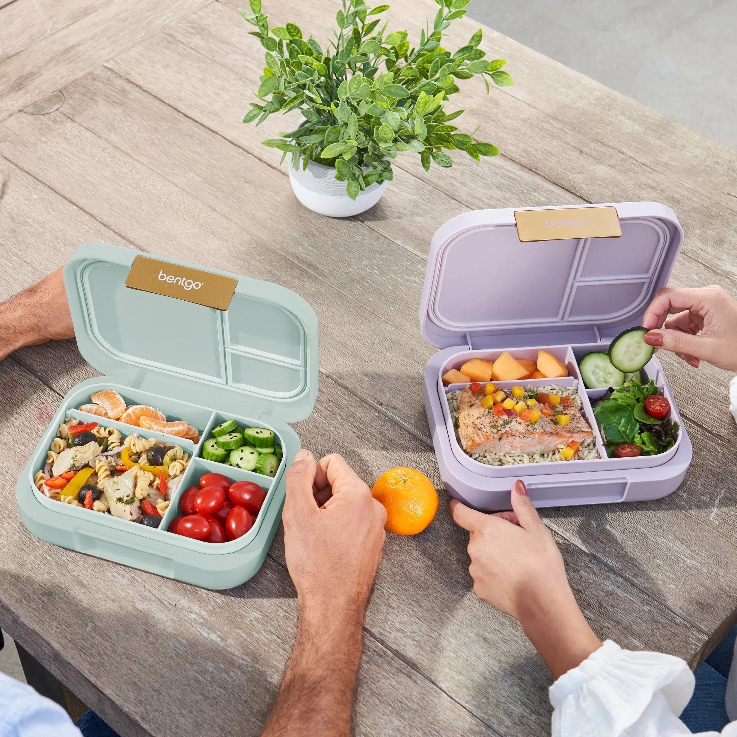 Bentgo Modern Leak-Resistant Lunch Box, 2 Pack - USA MEGA SHOP