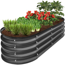 Charcoal oval raised metal garden bed planter with leafy greens and red berries