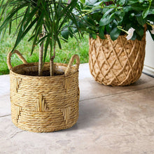 Round woven bulrush basket planter with handles, tan straw weave