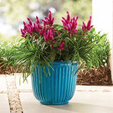 Light blue ribbed resin planter holding purple flower stems with green leaves