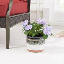 Round ceramic planter holding light purple hydrangea blooms with dark glazed rim