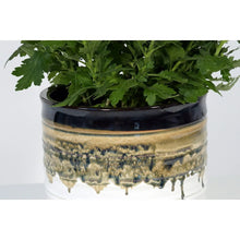Round ceramic planter with leafy green plant, dark top and greenish drip glaze
