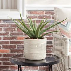 Better Homes & Gardens 8" x 8" x 7.2" Round White Ceramic Tye Plant Planter
