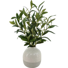 Indoor artificial olive plant with two-tone ceramic vase, rounded leaves