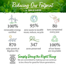 Sustainability infographic for tea bags with renewable and recyclable claims