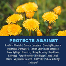 Weed and feed protects against weeds for up to 6 months text panel