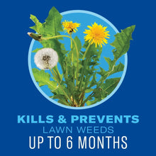 Weed & feed benefit panel with dandelion plants, kills & prevents up to 6 months