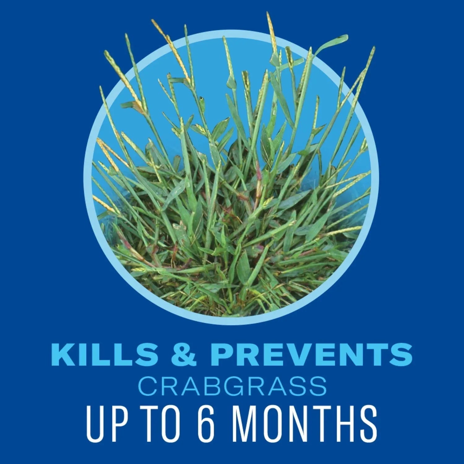 BioAdvanced 5-in-1 Weed and Feed 9.6 LBS
