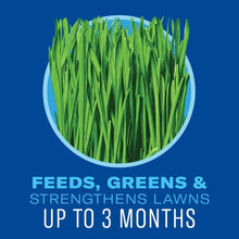 Weed & feed benefit panel with green grass blades, feeds and strengthens up to 3 months