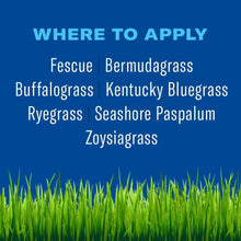 Where to apply list for lawn grasses with green grass blades foreground