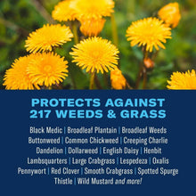 Lawn weed killer label panel: protects against 217 weeds & grass, list of target plants