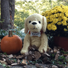 Small yellow puppy plush sitting, floppy ears, black eyes, red collar with name tag