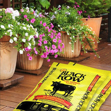 Black Kow cow manure fertilizer bag lying on a wooden surface, yellow pack