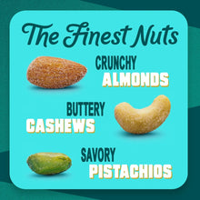 Roasted sea salt nuts assortment graphic with crunchy almonds, buttery cashews, pistachios