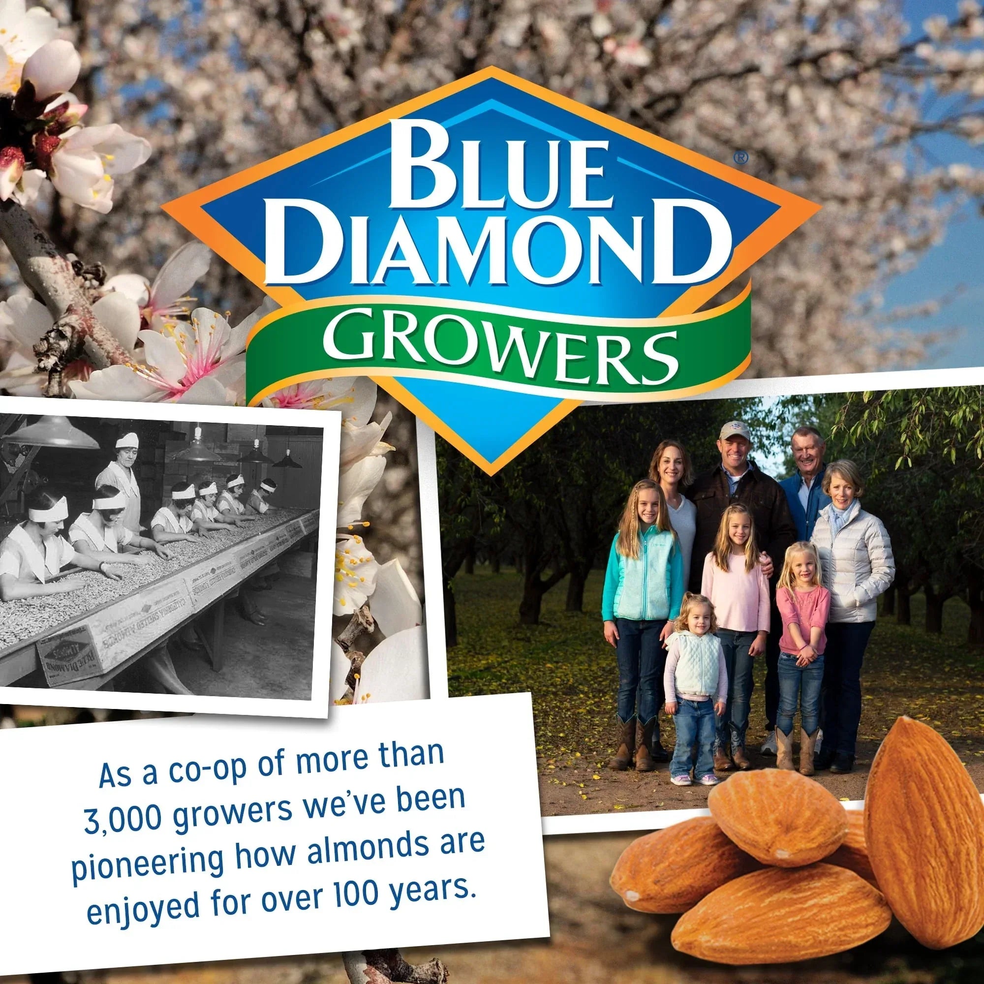 Blue Diamond Almonds, Whole Natural Raw Almonds Perfect for Gluten Free Snacking, 25 oz.