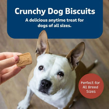 Crunchy square dog biscuits held near a dog, Health Bars treat-style pieces