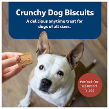 Crunchy dog biscuit held for dog, Blue Buffalo Health Bars