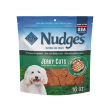 Blue Nudges Jerky Cuts chicken dog treat bag, 16 oz, front view