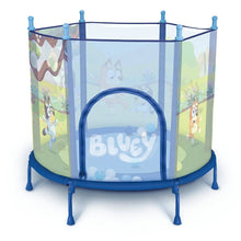 Kids trampoline enclosure with Bluey front window and visible play balls