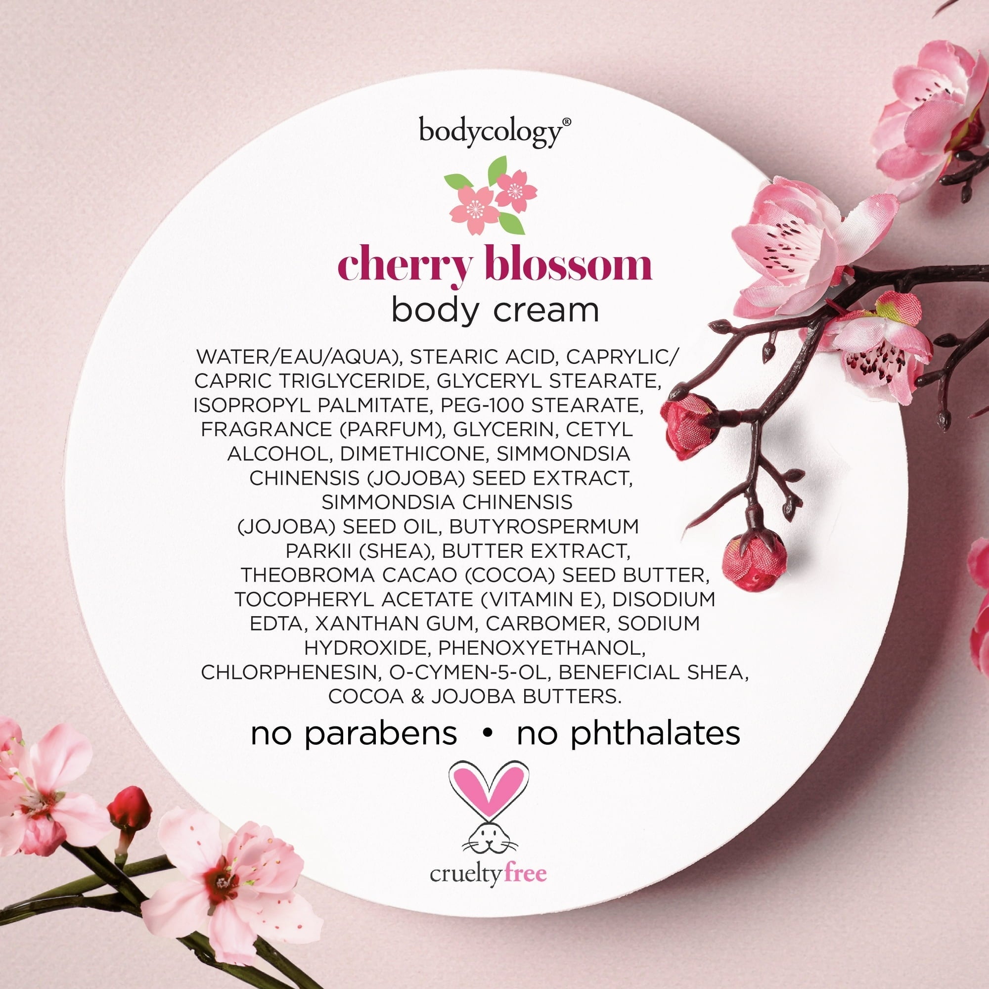 Bodycology Shea Butter Cherry Blossom Body Cream, 8 oz (PACK 5)