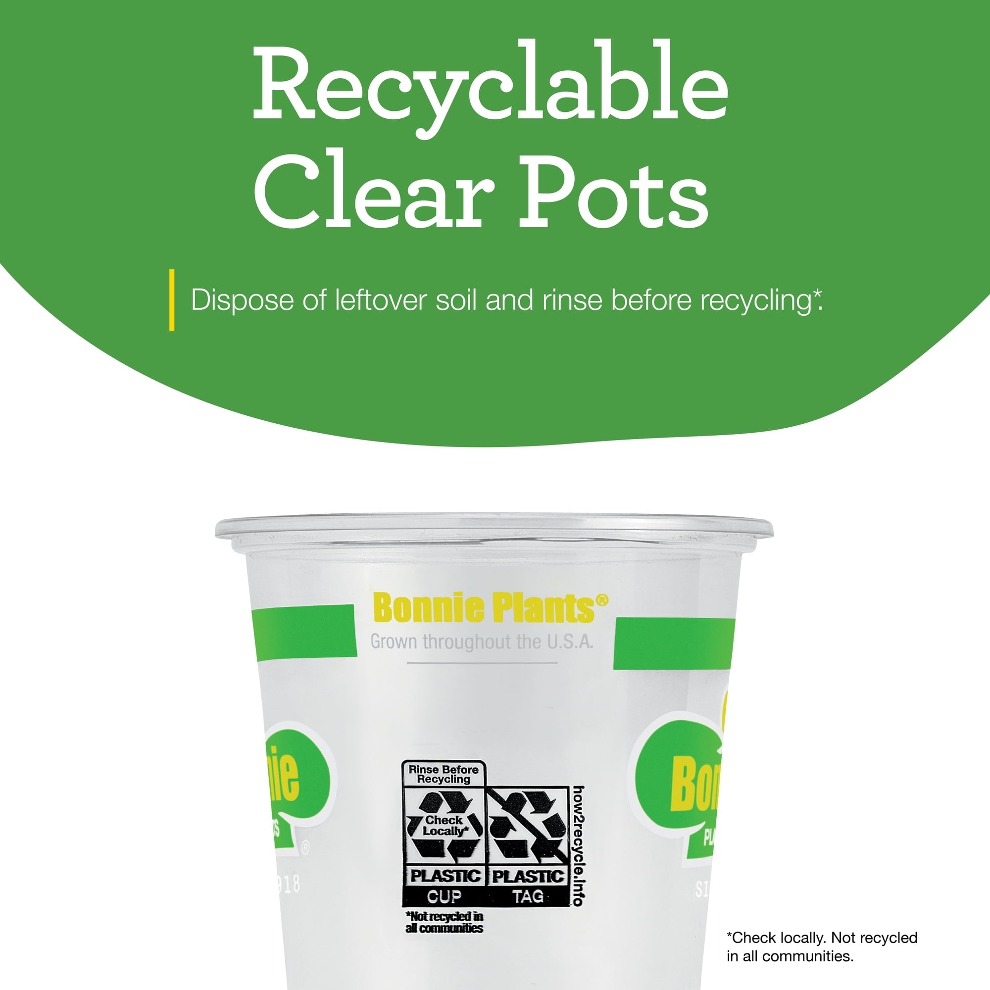 Bonnie Plants Sweet Basil 19.3 oz. 2-Pack