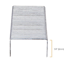 Chisel-point staples close-up with 1/4 in (6mm) length marking